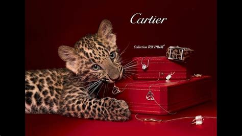 cartier video youtube|cartier family you youtube.